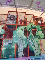 -寻石问宝研学亲子乐园(朝阳公园店)