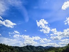 -八合里潮汕鲜牛肉火锅(上海汇智广场店)