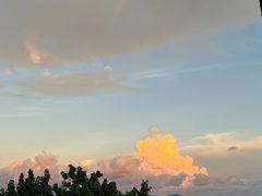 -深圳湾公园(南山区)