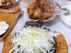 酱油炸鸡配大葱-奇纳百川