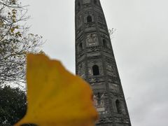 -上海佘山国家森林公园天马山园