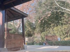 -春晖园度假酒店温泉