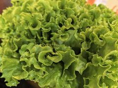 -四斤烤肉(东戴河孟家店)