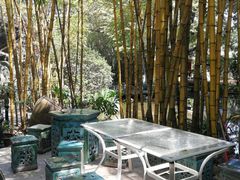 -同庆堂(解放北路店)