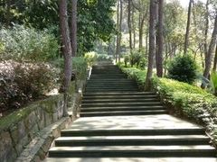 -铁山坪森林公园