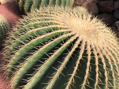 -南通洲际绿博园