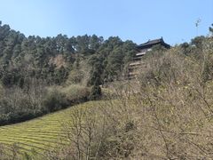 -敬亭山风景名胜区