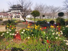 -苏州上方山国家森林公园