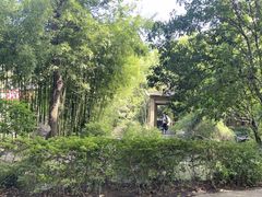 -汇龙潭