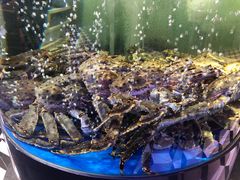 -蟹之国·精品蟹料理(极地店)