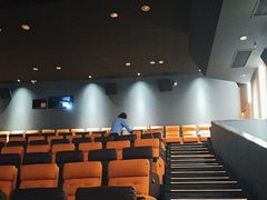 -太平洋影城(王府井店)
