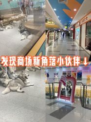 -紫颖·专业美胸·连锁养护中心