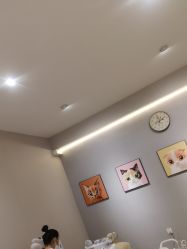 -洗脸猫·洗脸吧