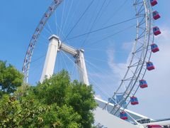 -天津之眼摩天轮