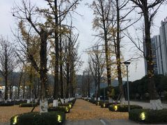 -百林公园-两江幸福广场