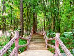 -佛冈森波拉度假区