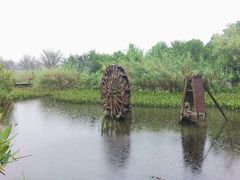 景点-长田漾湿地公园