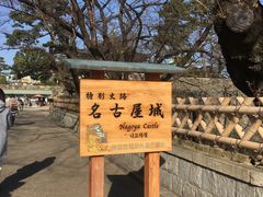 -名古屋城