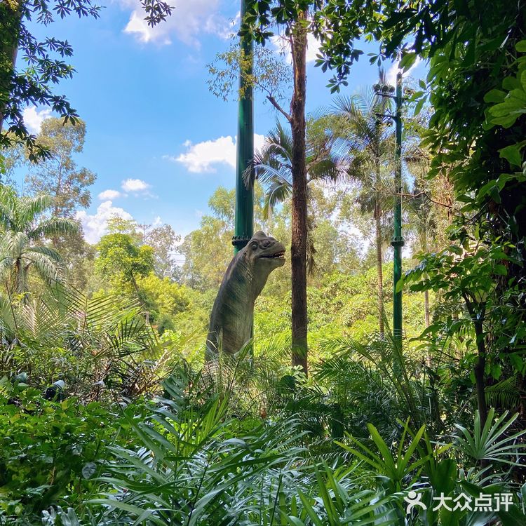 🦒长隆野生动物园游玩攻略｜拒绝踩坑❌注意事项大总结