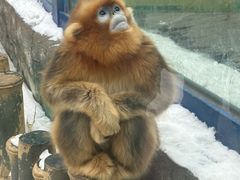 -大连森林动物园