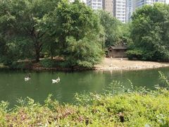 -长白岛森林公园