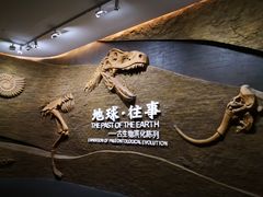 -柳州白莲洞洞穴科学博物馆