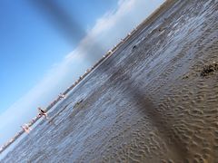 -启东黄金海滩景区