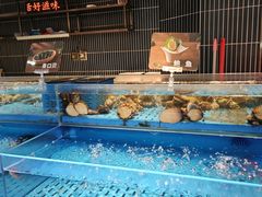 -海底捞火锅(长宁路龙之梦店)