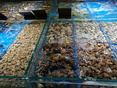 -徐记海鲜(观沙岭|滨江新城店)