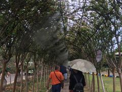 -武汉紫薇都市田园