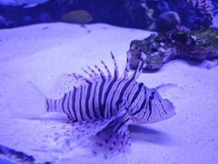 -多彩贵州城极地海洋世界