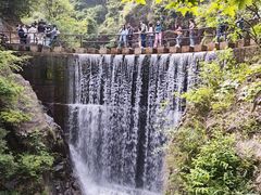 -大奇山国家森林公园
