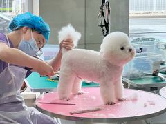 -北京观赏动物医院·24小时大型综合·猫专科·异宠专科