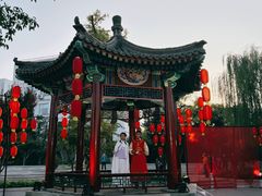 -西海子公园