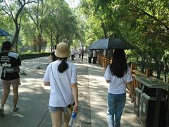 门面-白洋淀景区