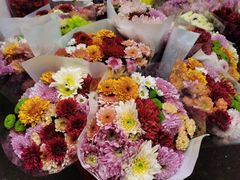 -循礼门鲜花花市(武汉循礼门店)