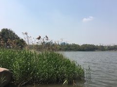 -美兰湖景区