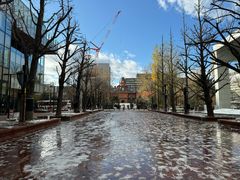 -北海道厅旧本厅舍(旧本庁舎)