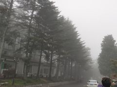 -四明山国家森林公园