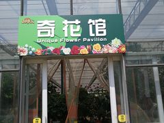 -北戴河集发农业梦想王国