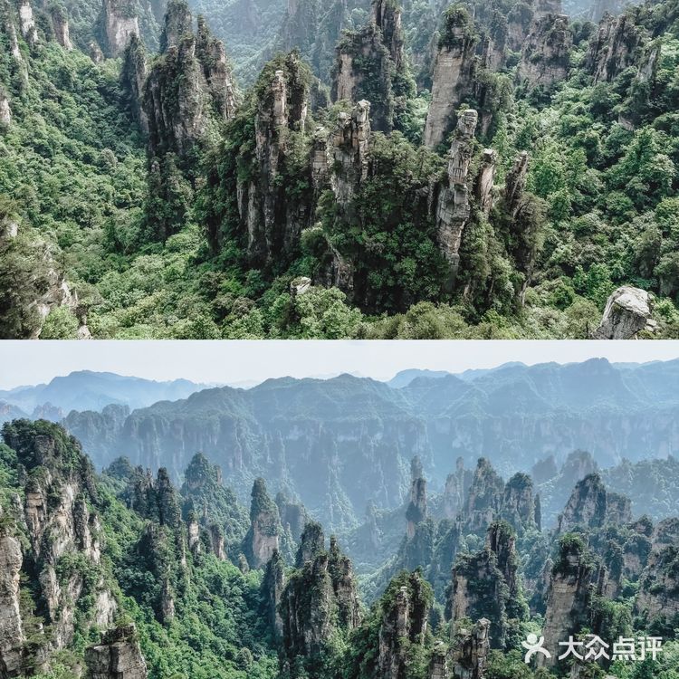 张家界国家森林公园·零基础上手轻松玩转😁