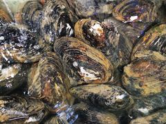 -八仔大富楼·河鲜(西江店)