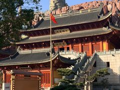 -上海东林寺(金山区)