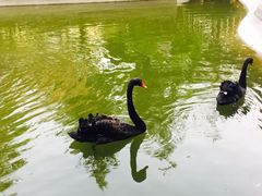 -园林格兰云天大酒店-太极名厨中餐厅