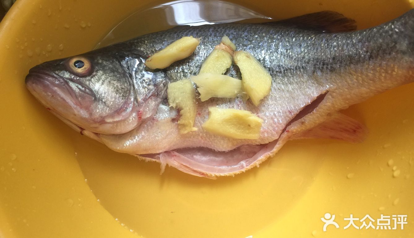黑暗料理之清蒸鲈鱼