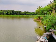 -海珠湖公园