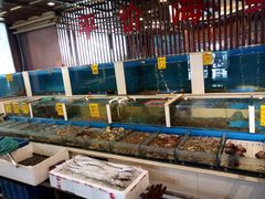 水产区-北塘海鲜·天津菜(大光明桥旗舰店)