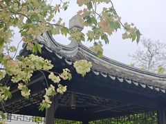-巡塘古镇