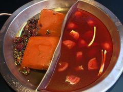 -手选潮汕鲜活牛肉火锅(二七广场店)