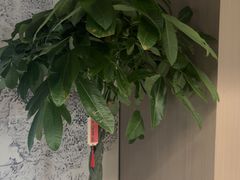 -江南宴•沿江菜江南味(七街店)